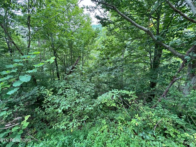 lot 22 Ridge Rd, Caryville, TN 37714