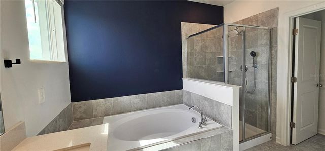 161 NINE IRON DRIVE, Davenport, FL 33896