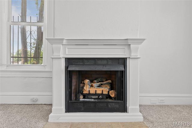 3034 Rutger Street, St Louis, MO 63104