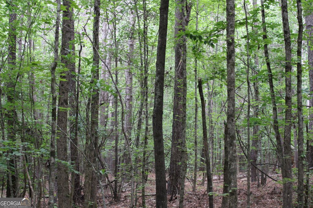 1 Garnett Ward Road, Hull, GA 30646 — photo 2