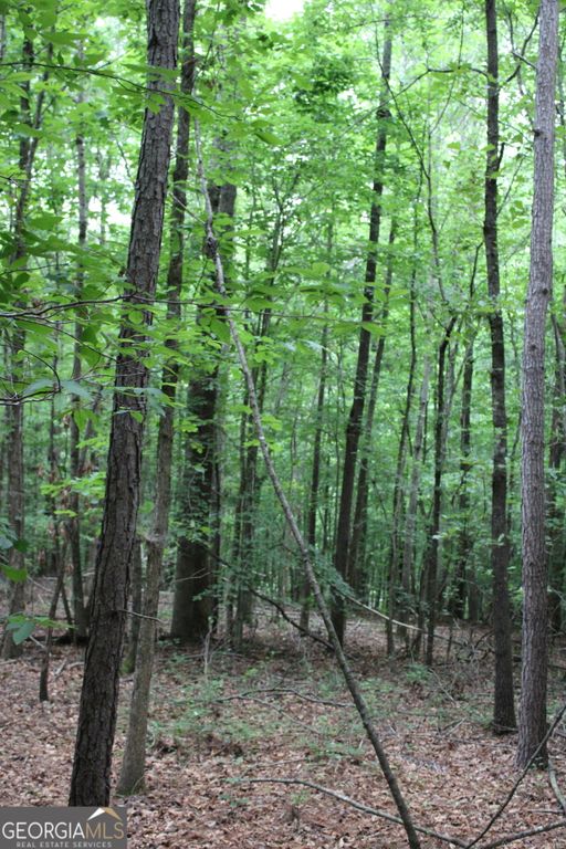 1 Garnett Ward Road, Hull, GA 30646 — photo 4