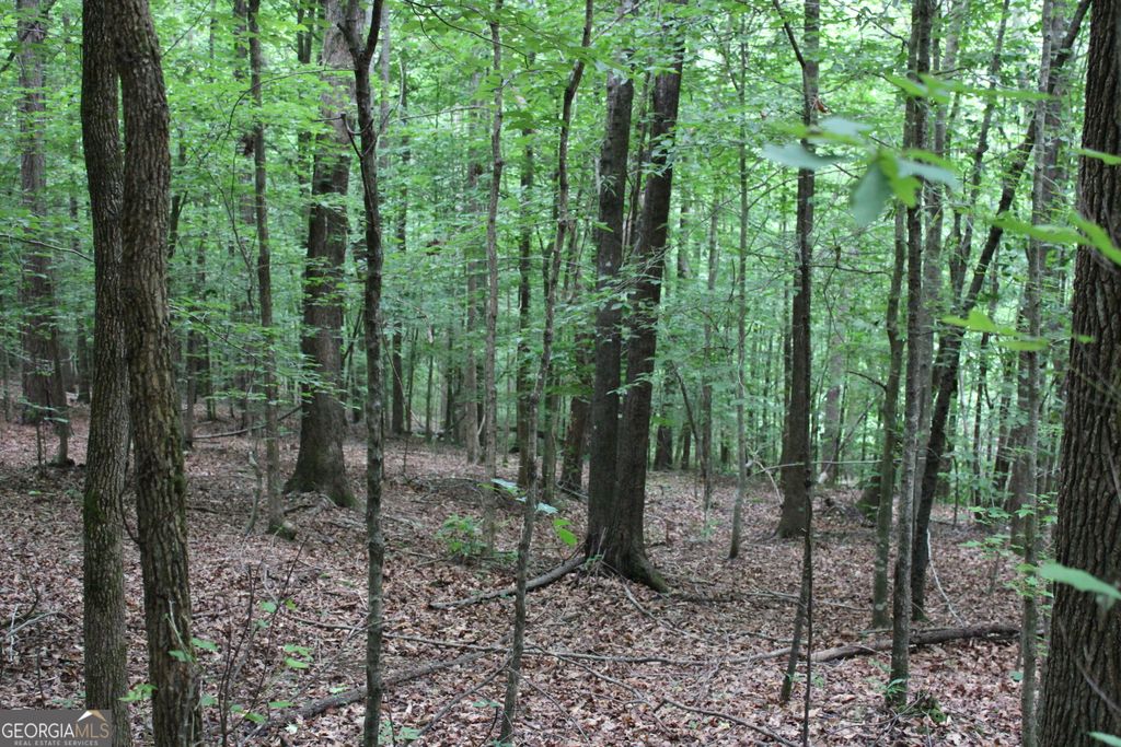 1 Garnett Ward Road, Hull, GA 30646 — photo 5
