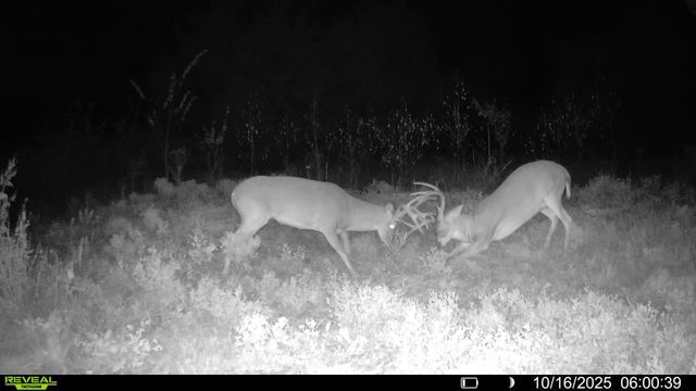 1932 County Road 222, Gainesville, TX 76240