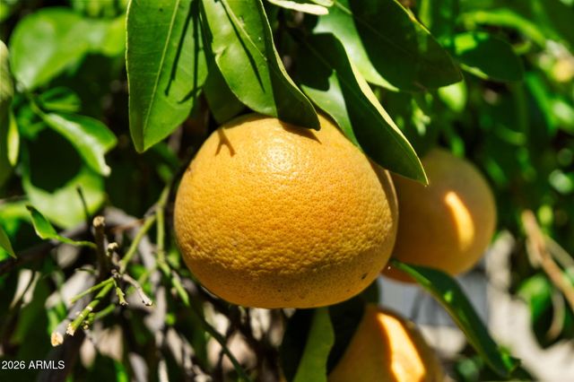 2605 LEISURE WORLD --, Mesa, AZ 85206