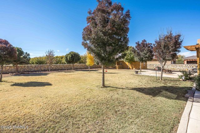 8354 Rancho Vista Loop, La Mesa, NM 88044