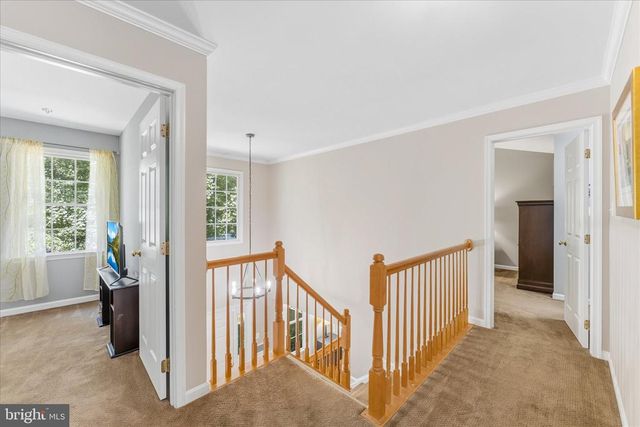 2319 WILDWOOD CIR, Amissville, VA 20106