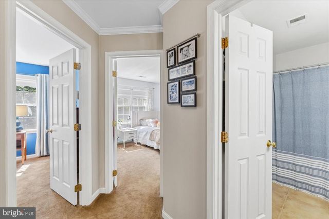 2319 WILDWOOD CIR, Amissville, VA 20106