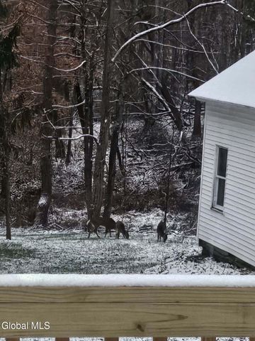 53 Cummings Street, Hoosick Falls, NY 12090