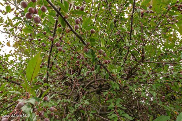 2145 W Grange Ave, Post Falls, ID 83854