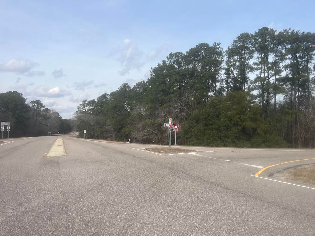 Image 2 of property listing at 0 Lowcountry Hwy, Yemassee, SC 29945
