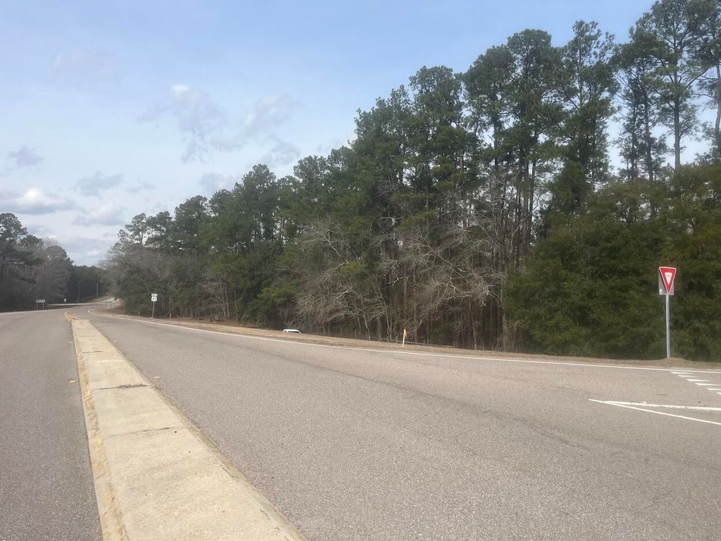 Image 3 of property listing at 0 Lowcountry Hwy, Yemassee, SC 29945