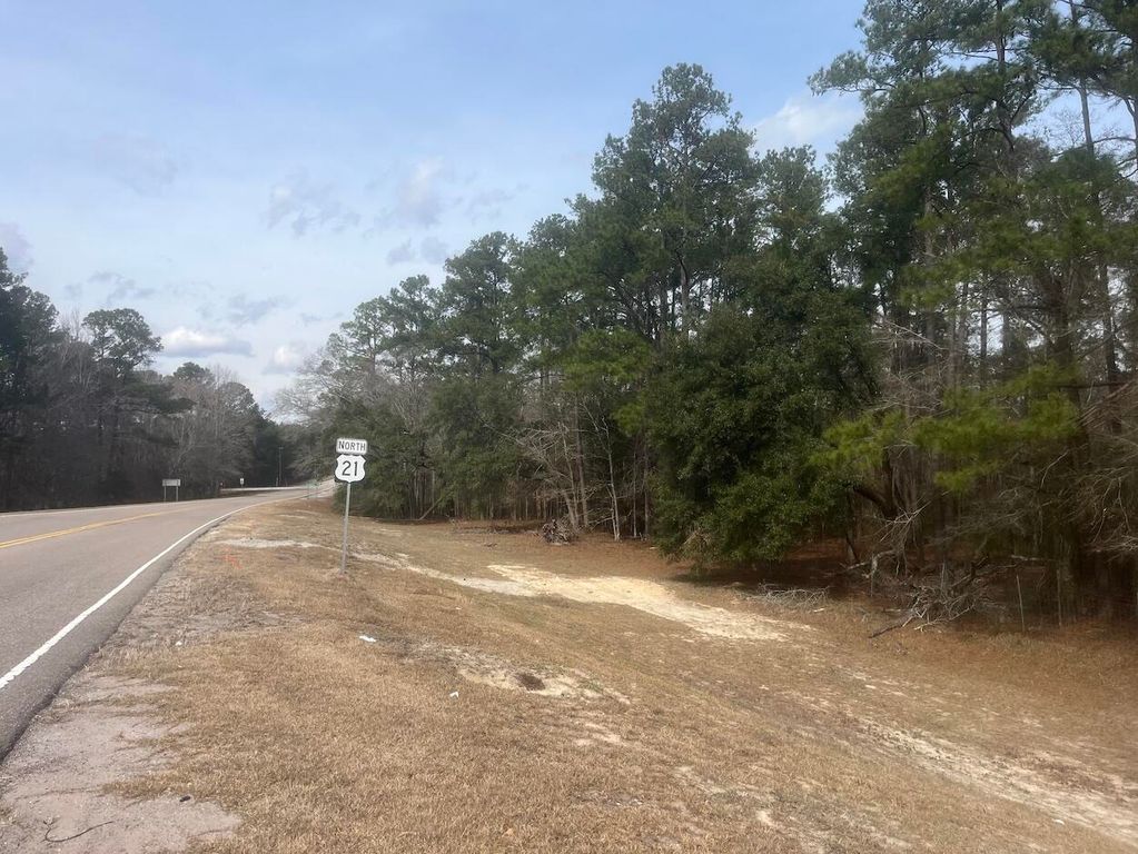 Image 4 of property listing at 0 Lowcountry Hwy, Yemassee, SC 29945
