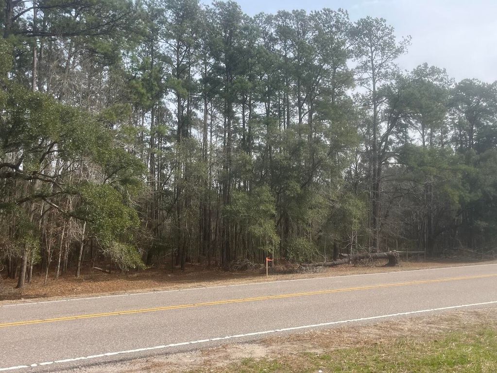 Image 5 of property listing at 0 Lowcountry Hwy, Yemassee, SC 29945