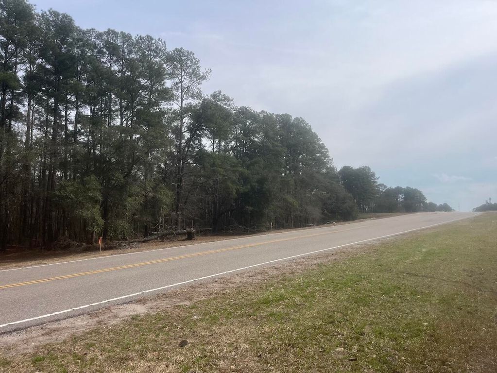 Image 6 of property listing at 0 Lowcountry Hwy, Yemassee, SC 29945