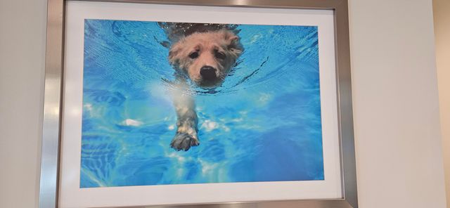 11935 SW Backshore Drive, Port St. Lucie, Port St Lucie, FL 34987