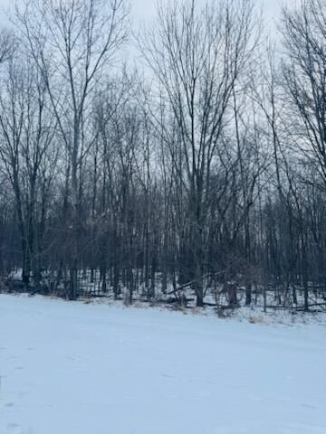 66 Hickory Trail, Grand Blanc, MI 48439