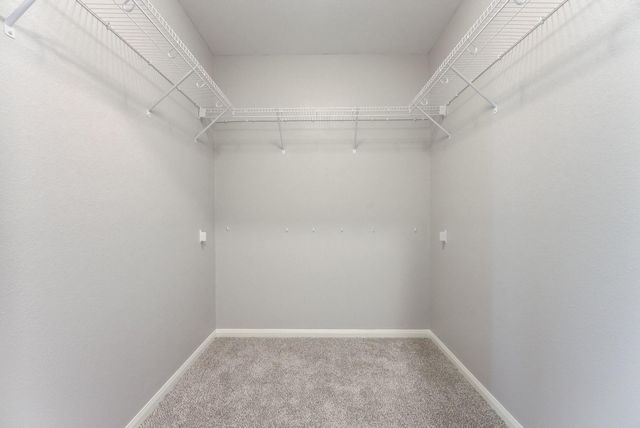 26055 Allan Poe Drive, Magnolia, TX 77355