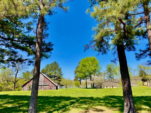 14889 311 Highway, Green Forest, AR 72638