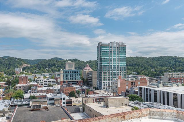 21 Battery Park Avenue 406, Asheville, NC 28801