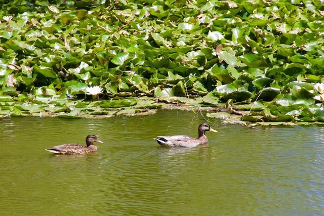 35109 Highway 79 SPACE #10, Warner Springs, CA 92086