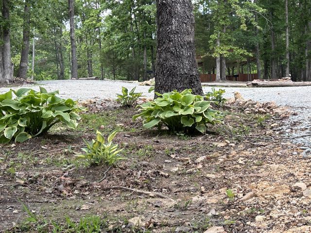 3158 Summertown Hwy, Summertown, TN 38483