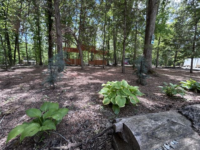 3158 Summertown Hwy, Summertown, TN 38483