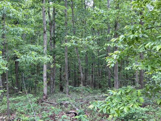 3158 Summertown Hwy, Summertown, TN 38483