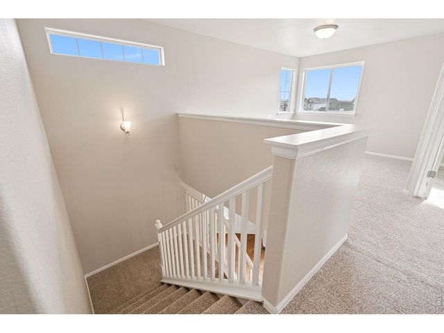 1787 Long Shadow Dr, Windsor, CO 80550