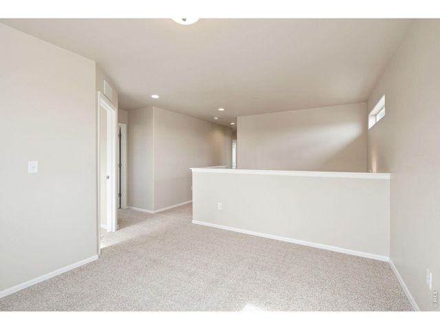 1787 Long Shadow Dr, Windsor, CO 80550