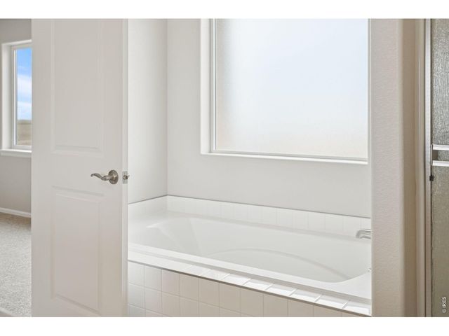 1787 Long Shadow Dr, Windsor, CO 80550