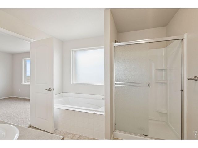 1787 Long Shadow Dr, Windsor, CO 80550