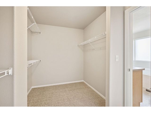 1787 Long Shadow Dr, Windsor, CO 80550