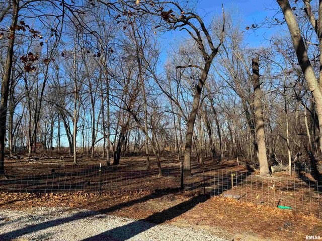 12726 E County Road 300 N Road, Chandlerville, IL 62627