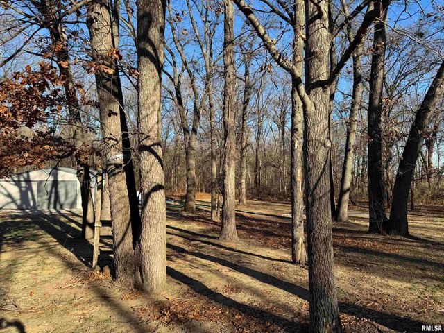 12726 E County Road 300 N Road, Chandlerville, IL 62627