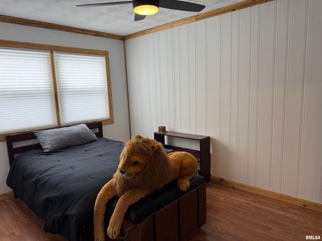 12726 E County Road 300 N Road, Chandlerville, IL 62627