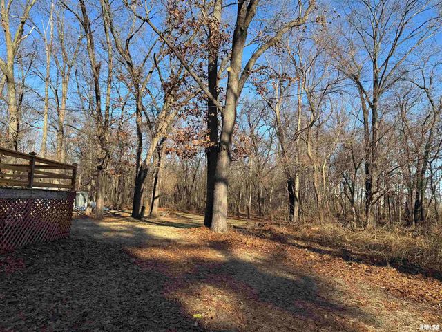 12726 E County Road 300 N Road, Chandlerville, IL 62627