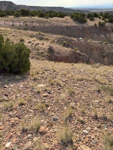 TBD LOT 40 CR 158, PLAZA BLANCA, Abiquiu, NM 87510