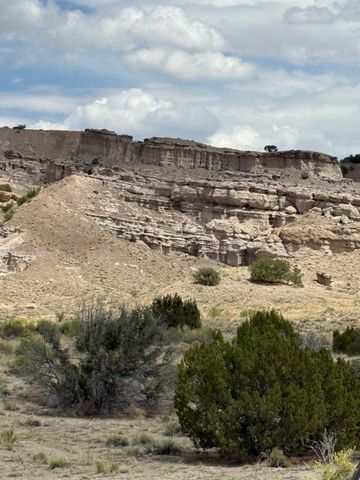 TBD LOT 40 CR 158, PLAZA BLANCA, Abiquiu, NM 87510