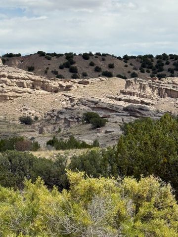 TBD LOT 40 CR 158, PLAZA BLANCA, Abiquiu, NM 87510