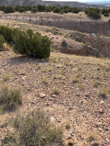 TBD LOT 40 CR 158, PLAZA BLANCA, Abiquiu, NM 87510