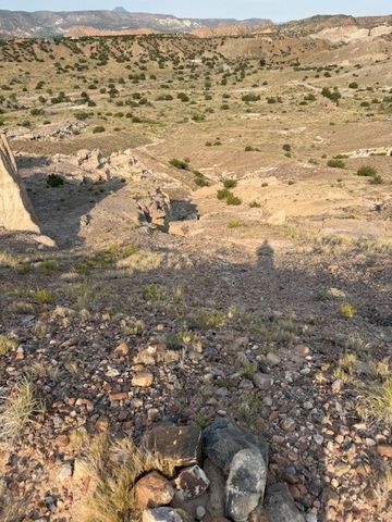 TBD LOT 40 CR 158, PLAZA BLANCA, Abiquiu, NM 87510