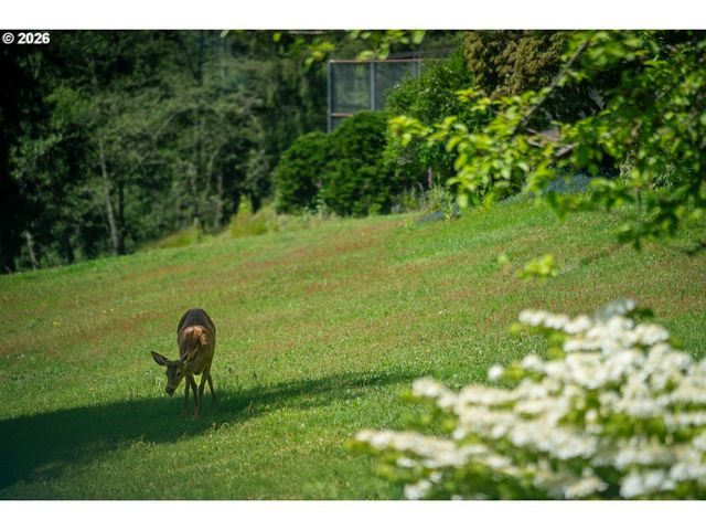 3350 NORTHWOOD Way, Tillamook, OR 97141
