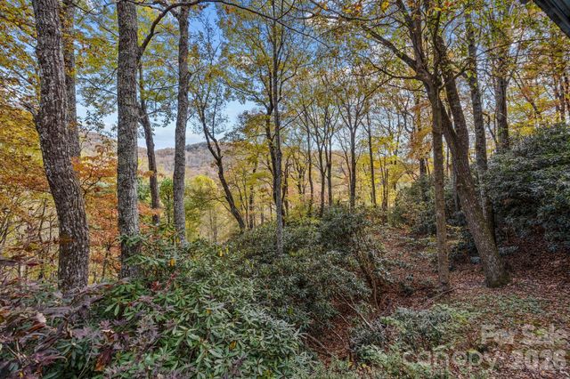 63 Chestnut Forest Road, Fairview, NC 28730