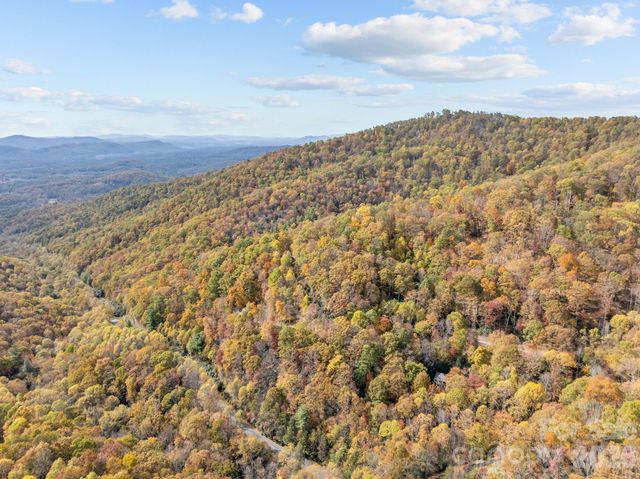 63 Chestnut Forest Road, Fairview, NC 28730