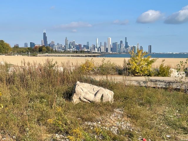 5000 S East End Avenue 15C, Chicago, IL 60615