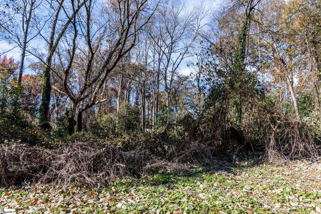 00 Elizabeth Street, Clinton, SC 29325