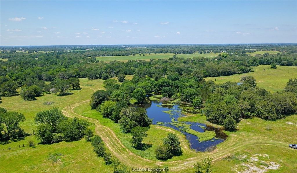 5380 County Road 132 (+/-81 acres), Somerville, TX 77879 — photo 3
