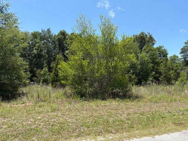 6658 N FLOWER TERRACE, Hernando, FL 34442