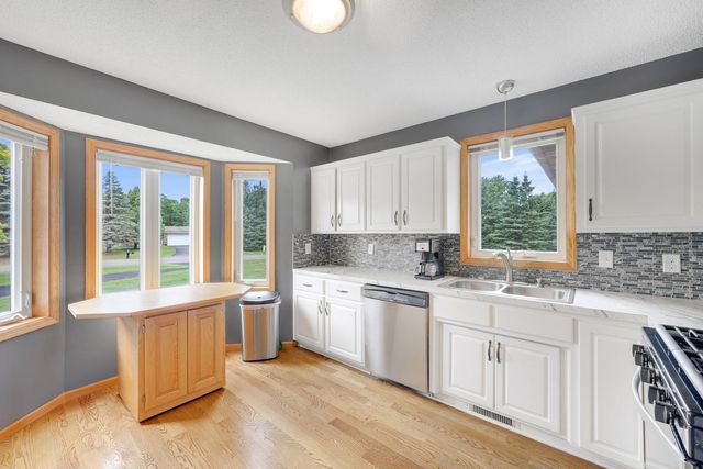 17153 Butternut Street NW, Andover, MN 55304