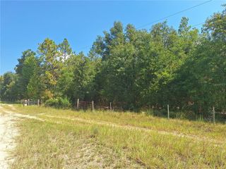 Lot 9 NW 73RD WAY, Bell, FL 32619